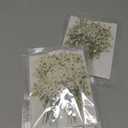 Lasnten 200 Pcs Mini Dried Babys Breath Pressed White Flowers Bulk Real Natural Flat Gypsophila Baby's Breath for Wedding Invitations Card Making Bookmark Candle Resin Art Craft DIY Home Party Decor