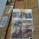 20ft.Cor-Ten Weathering Steel Landscape Edging(6 Pack)-6"x40"- Pre-Rusted Garden Edging with 7 Clips & Gloves - Durable,Flexible, Easy-to-Install for Landscaping,Tree Rings,Lawn & Garden