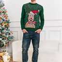 Karlywindow Mens Ugly Christmas Sweater Holiday Reindeer Snowflake Santa Soft Pullover Long Sleeve Knitted Sweaters (XX-Large, Green)
