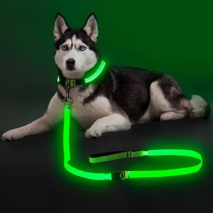 Colaseeme Light Up Dog Leash, LED Pet Leashes USB Rechargeable, Glow Safety Dogs Lights at Night (6FT,Green)