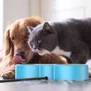Outdoor Heated Dog & Cat Bowl - Smart Thermal-Dish for Pets, Provides Drinkable Water & Food in Winter (116 OZ)