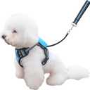 Dog Harness and Leash Set |Dog Vest Harness with 6 ft Multifunction Retractable Dog Leash | with One-Button Control,One-Handed Brake, Tangle Free (M)