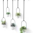 Umbra Triflora Hanging Planter for Window, Indoor Herb Garden, Set of 5, White/Black