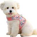 Sunraymascota Dog Harness Cat Puppy Vest for Small Sized Pet, Floral Print-Pink, S(Neck:10.5-13.6",Chest:14.8-19.1")