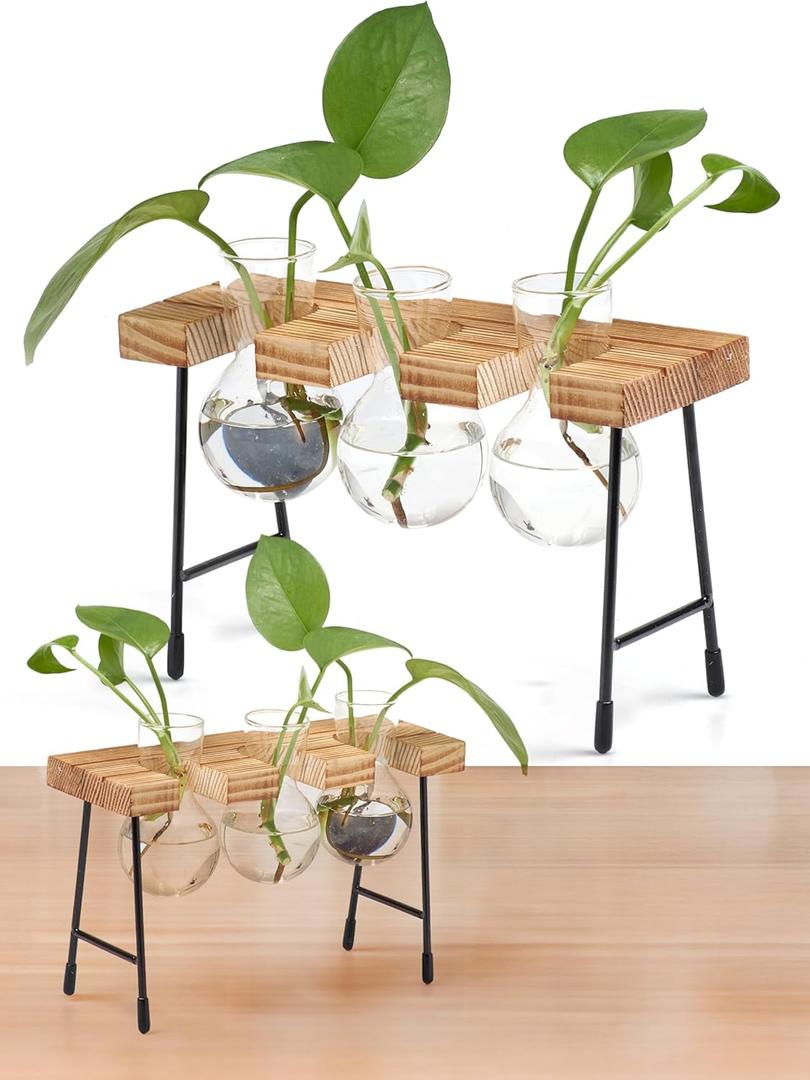 Window Garden Plant Terrarium Glass Vase with Stand - Set of 3 - Real Wood Frame with Transparent Bulb-Shaped Glass - Propagation Stations for Indoor Plants - Wooden Finish