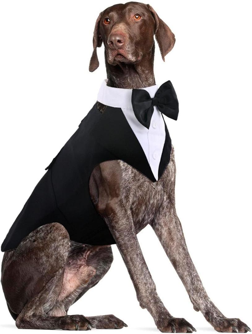 DORA BRIDAL Dog Tuxedo for Large Dogs, Dog Suit and Bowtie, Formal Dogs Wedding Outfit, Pet Tuxedo and Bandana Set Valentines Birthday Christmas Party Costumes for Labrador,Golden Retriever, Black, L