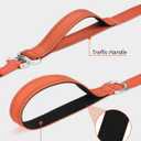 3 x Joytale Tangle-Free Slip Leads for Dogs, 6 FT Slip Leash with Padded Double Handle, Reflective Nylon Training Leash for Small Medium Dogs 15-40 Lbs, Orange