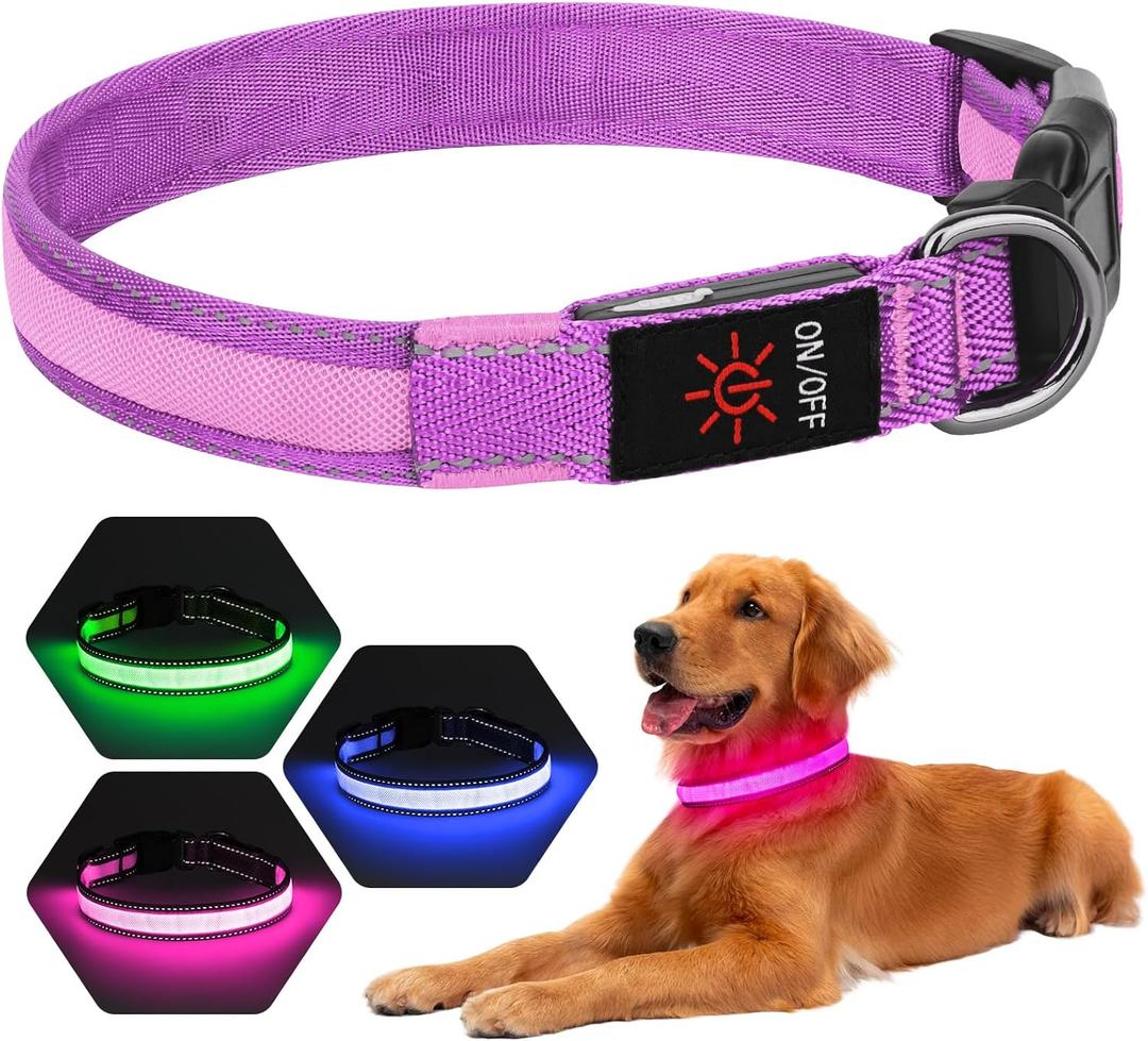 LED Dog Collar USB Rechargeable - Light Up Dog Collar Safety Pet Collars with Lights for Night Walking, Camping (Pink, M)