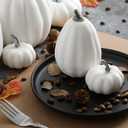 Ywlake 16 pcs Pumpkin Fall Decorations, Decorative Large Small Outdoor White Foam Plastic Fake Faux Artificial Pumpkins for Halloween Autumn Harvest Festival Home Table Decor