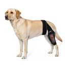 Dog Knee Brace for Back Leg,Dogs Leg Brace Hind & Rear Legs Senior Dog, Small