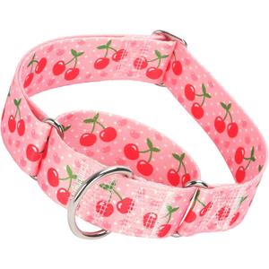 Martingale Dog Collar 1.5 Inch Wide - Pink Cherry Blossom Adjustable Nylon No-Pull Training Collar for Large Dogs, Secure Design for Walking, Hunting & Outdoor Use (Large)
