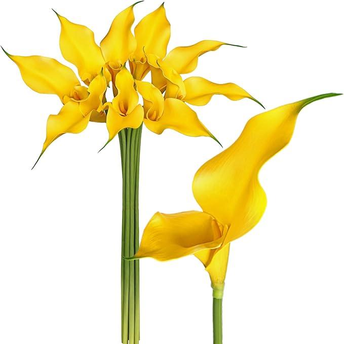 Yellow Calla Lily Artificial Flowers 29.5 Inch Long Stem for Tall Vase Durable Eva Material Fake Calla Lilies for Wedding Bouquet, Bridal Shower Decor, Home Centerpiece 9 Pcs Faux Arum Lilies