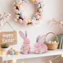 DR.DUDU 2 Pack Woven Bunny Easter Decor - Bunny Decorations for Home, Spring Rabbit Figurines for Shelf Table Centerpiece (Pink)