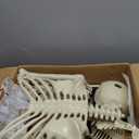 5.4Ft Halloween Skeleton with Skeleton Dog - Life Size Skeleton with Glowing Eyes Scary Creepy Sound Movable Joints Full Size Posable Skeleton Decor Halloween Decorations Outdoor Indoor