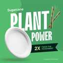 100% Compostable Paper Plates, Heavy Duty Disposable Plates [125-Pack] 9 Inch Plates - Eco-Friendly, Biodegradable Sugarcane Bagasse, Natural White 9" Sturdy Dinner Paper Plate Disposable