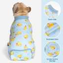 cyeollo Recovery Suit for Dogs Surgery Suit Female Spay Soft Pet Onesie Bodysuit Male Dog Neuter, Small Dogs Surgical Recovery Shirt, Yellow Duck, M