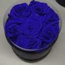 NATROSES 7 Piece Preserved Roses in a Box, Preserved Flowers for Birthday, Flower Gifts for Mothers Day (Royal Blue) (Medium)