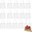 woric Clear Gift Bags with Handles, 15 PCS Small Plastic Party Favor Bags Reusable Transparent Gift Wrap Goodie Bag Bulk for Mother's Day Weddings Birthdays 5.9"x5.1"x2.75"