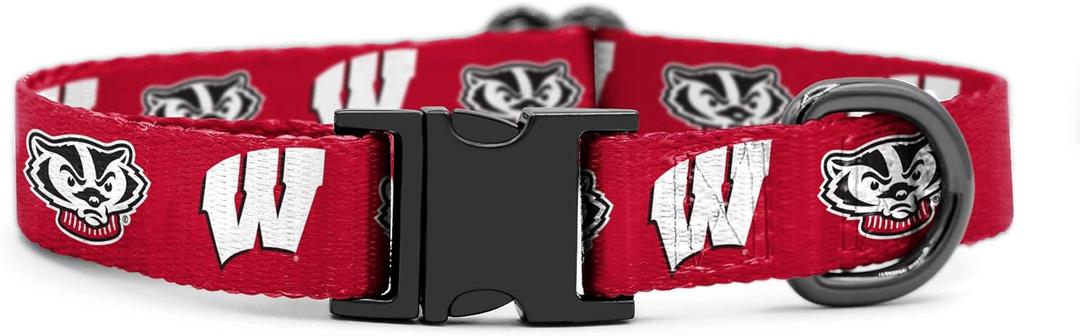Wisconsin Badgers Collars and Leashes | Officially Licensed | Fits All Pets! (Large Collar)