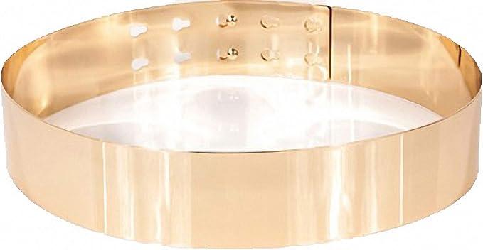 Ulalaza Womens Full Metal Sleek Mirror Plate Waistband Belt Chain Dress Decorated Skinny Golden Silver Belt