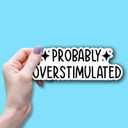 5 x (3PCS) Probably Overstimulated Sticker Funny Quote Sticker Waterproof Vinyl Sticker Decals for Books Laptops Phone Water Bottles Tumbler Cup Kindle 3x1.1 Inch