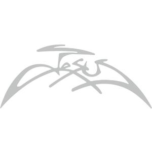 Religious christian jesus name Vinyl Decal Sticker (Light Grey, 6")