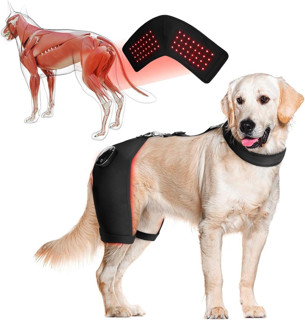 Dog Hip Brace with Red Infrared Light Therapy  Pain Relief for Arthritis, Hip Dysplasia, Spine Issues & Muscle Recovery, Portable & Cordless, Patent Pending(Male Dog, XL) (Extra Large)