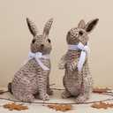SafeSir Rattan Effect Resin Easter Bunny Figurines Decor 2 PCS Wicker Looking Rabbit Decorations with Bow for Spring Table Centerpieces Indoor Farmhouse Home Decor(Large Rattan)