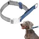 BELLA & PAL Slip Martingale Collar for Dogs, Limited Slip Design, Reflective, Escape-Proof, Gentle Control, Adjustable Training Collar with Quick-Release Strong Buckle, Nylon, Small
