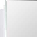 IDYLLOR Plastic Medicine Mirror Cabinet for Bathroom 16 x 20 inch, Surface and Recessed Mount