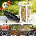 Birdream 2 Pack Solar Bird Feeders for Outdoors Hanging, Assembly Required, 1-Min Easy Setup, Wild Seed Feeders for Cardinals Chickadees and Finches