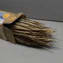 Craft Broom Corn with Stalks 2 Pound Bundle 24-36" Length