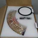 ocioc 20" Fandelier Ceiling Fans with Lights and Remote,Caged Ceiling Fan with Light,Flush Mount Low Profile,Bladeless,Quiet Reversible DC Motor,Boho Rattan Ceiling Fan for Bedroom,Living Room