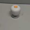 Electric Garlic Chopper, Mini Portable Veggie Chopper, 250ML Garlic Grinder Masher Onion Grinder, Blender to Vegetable, Wireless Food Processor for Ginger, Chili, Fruit, Meat, etc (White)