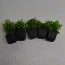 Der Rose 5 Pack Fake Plants Mini Artificial Plants for Home Office Farmhouse Bathroom Shelf Decor Indoor