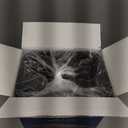 Dealusy 50 Pack (100-Piece) 24 oz Meal Prep Containers Reusable with Lids, Sturdy Leakproof & Food Safe, Microwave, Freezer, Dishwasher Safe Prep Containers, To Go Take Out Plastic Food Storage