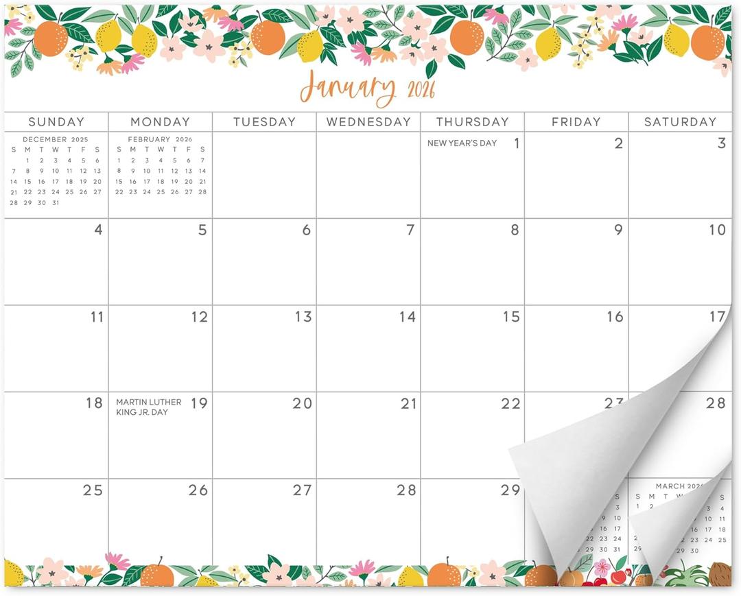 3 x S&O Fruity Magnetic Fridge Calendar from January 2026-June 2027 - Tear-Off Refrigerator Calendar to Track Events & Appointments - 18 Month Magnetic Planner for Fridge for Easy Planning - 8"x10" in.