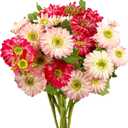 Daily Treasures 6Pack Artificial Gerbera Daisy Flower,Realistic Fake Colorful Daisies,Silk Daisies,Vibrant Color Faux Daisy Flowers for Party Home Kitchen Garden Wedding Decor(Pink, Rose Red)