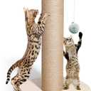 18 Tall Cat Tree for Kittens, Jute Scratching Post with Hanging Ball for Kitten & Adult Cats, Small Cat Tower with Toys, Cat Activity Tree Indoor (wood-new)