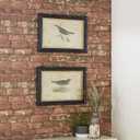Deco 79 Wood Bird Framed Wall Art with Black Frame, Set of 2 20"W, 14"H, Black