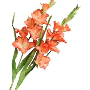 Long Stem Artificial Gladiolus Flower, Set of 2, Home/Wedding/Office Decor (Orange)