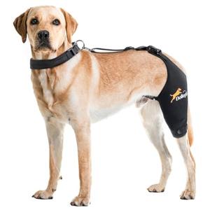 Dollephi Dog Knee Brace for Torn ACL Hind Leg, Hot/Cold Compress for Patella Dislocation or Osteoarthritis, Cruciate Ligament Injuries,Patent Pending(Left Leg,M)