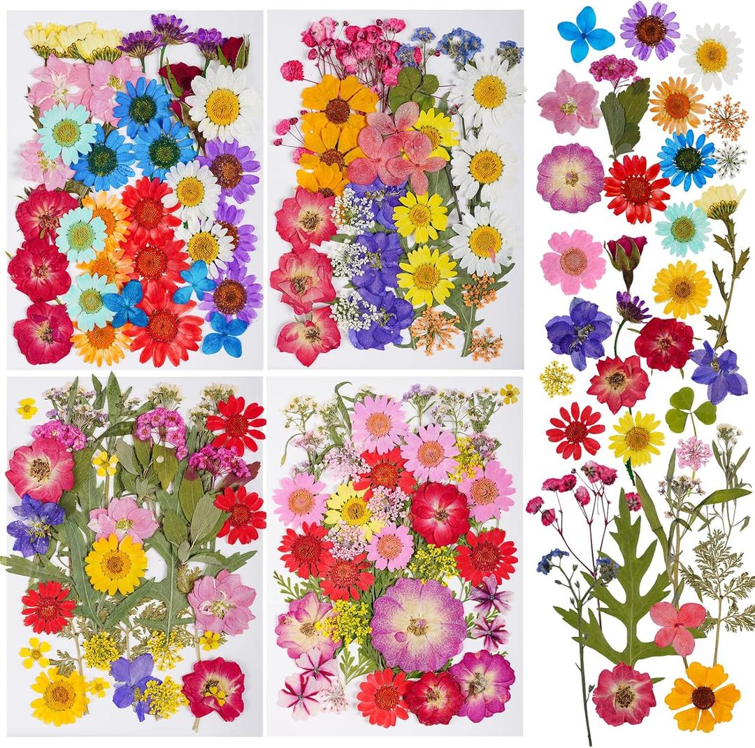 145pcs Natural Pressed Dried Flowers Mixed Multi-Color Pressed Flower Mini Rose Hydrangea Daisy for Art Craft DIY Resin Nail Art Floral Decors (Red, Purple & Blue)
