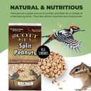 Scott Pet Wild Bird Seed, Peanuts Split (No Shell), 8 lbs Bag, Great Source of Protein and Fiber, Peanuts for Outside Wild Birds (EXP 11/30/27)