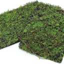 AQUA KT Terrarium Moss Background Backdrop Wall Artificial Reptile Amphibian Cage Decoration for Lizard Bearded Dragon Snake Frog Chameleon Climbing, Pack of 2