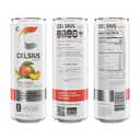 CELSIUS Fizz Free Peach Mango Green Tea, Sugar Free Energy Drink, 12 Fl Oz (Pack of 4), BB Date: 06/ 26