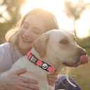 WhoseID Airtag Dog Collar, Waterproof Airtag Holder for Dog Collar & Cat Collar Slicone Full Body Covered Pet Air Tag Holder (Black, Regular)