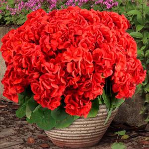 6 Bundles Artificial Flowers for Outdoors, Faux Geraniums Realistic Red Christmas Flowers, Faux Plants Outdoor UV Resistant for Garden Patio Porch Window Box Home Indoor Outdoor Decor (6, Red)
