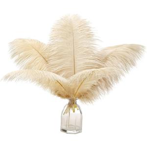 Ballinger Champagne Ostrich Feathers Bulk - 12Pcs 12-14inch Large Boho Feathers for VaseWedding Party Centerpieces Home and Pampas Grass Decor