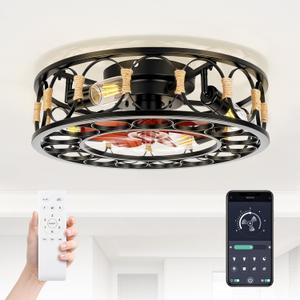 20" Caged Ceiling Fan with Lights and Remote, Low Profile Flush Mount Ceiling Fan, Enclosed Bladeless Fandelier with Silent DC Motor, Reversible 6 Speeds Industrial Farmhouse Fan Light Fixture